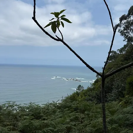 Entre Prau Y Mar La Casa De Muros *